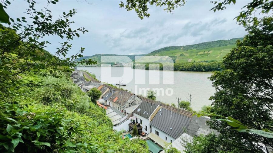 Traumgrundstück mit Panoramablick auf die Rheinkulisse - Sofort bebaubar - Aussicht Rheinkulisse